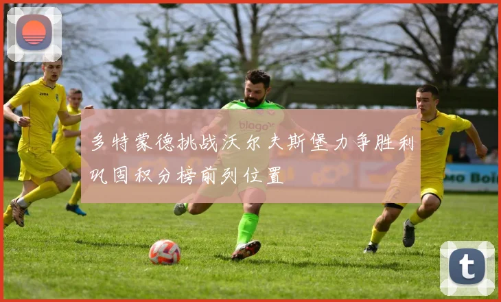 多特蒙德挑战沃尔夫斯堡力争胜利巩固积分榜前列位置