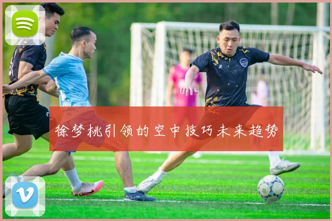 徐梦桃引领的空中技巧未来趋势