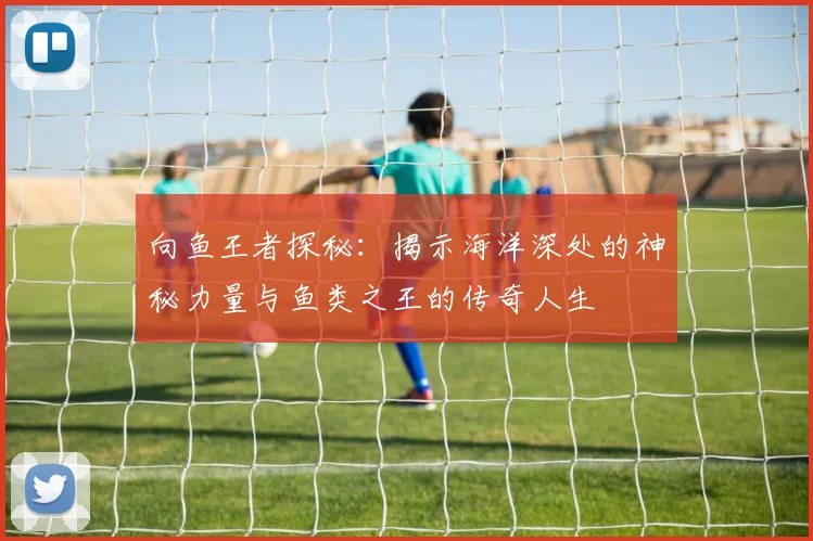 向鱼王者探秘：揭示海洋深处的神秘力量与鱼类之王的传奇人生