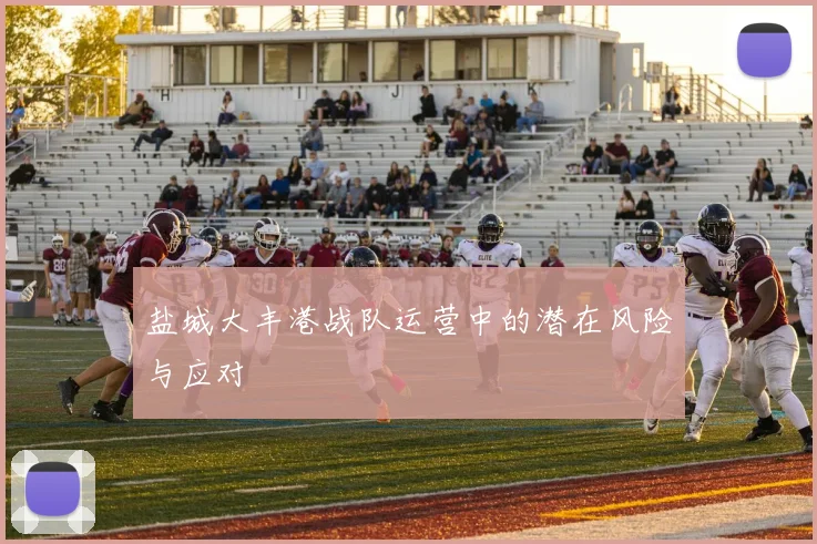 盐城大丰港战队运营中的潜在风险与应对