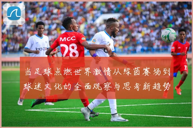 当足球点燃世界激情从绿茵赛场到球迷文化的全面观察与思考新趋势