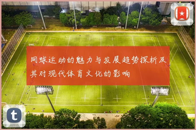网球运动的魅力与发展趋势探析及其对现代体育文化的影响
